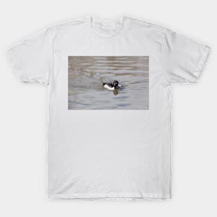 Ring-Necked Duck T-Shirt